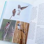 Pensioen cadeau vogelaars vogels