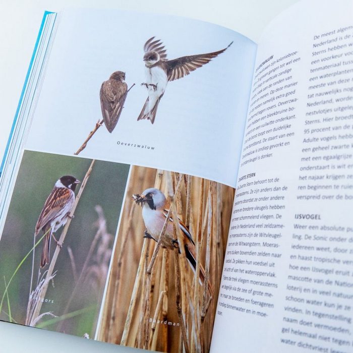 Pensioen cadeau vogelaars vogels