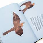 Pensioen cadeau vogelaars vogels